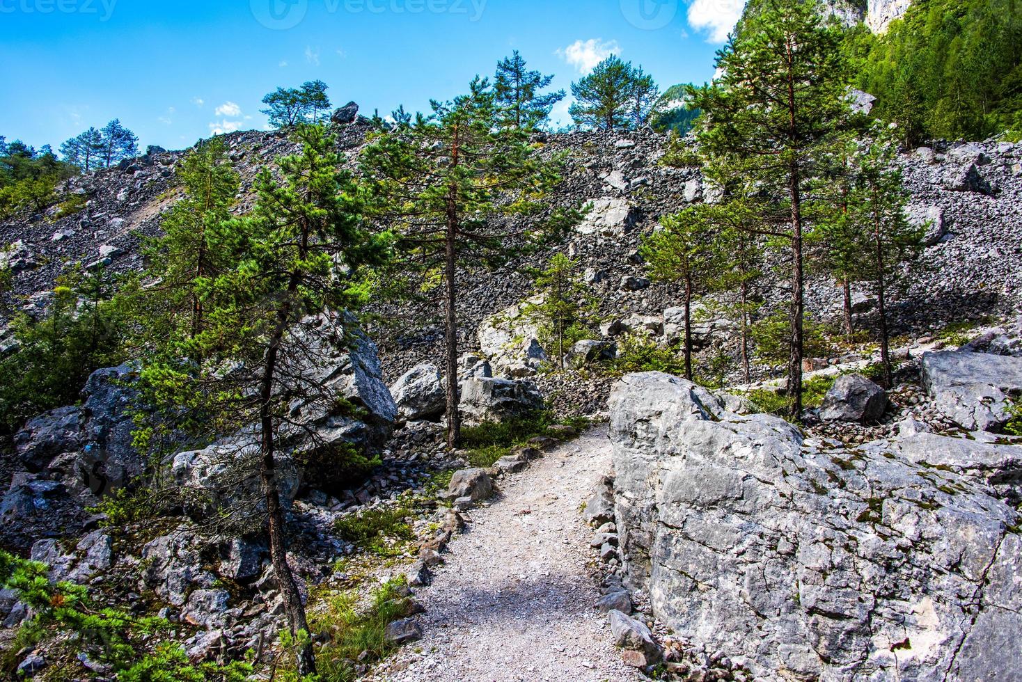 stig mellan träden foto