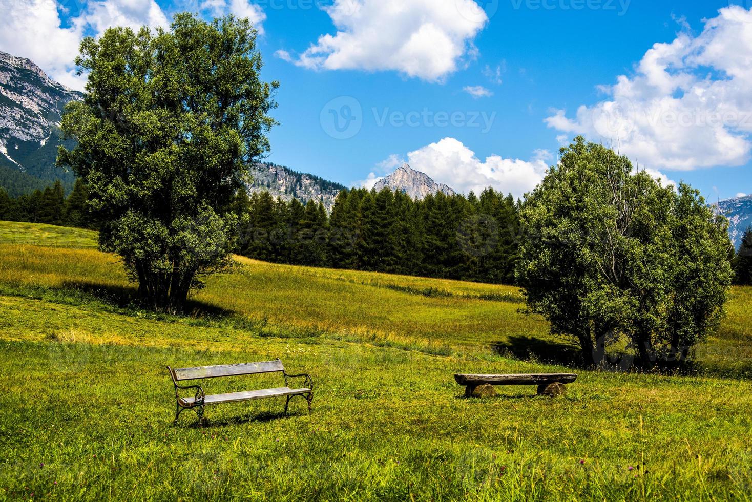 gröna betesmarker runt Cortina d'ampezzo i Belluno, Italien foto