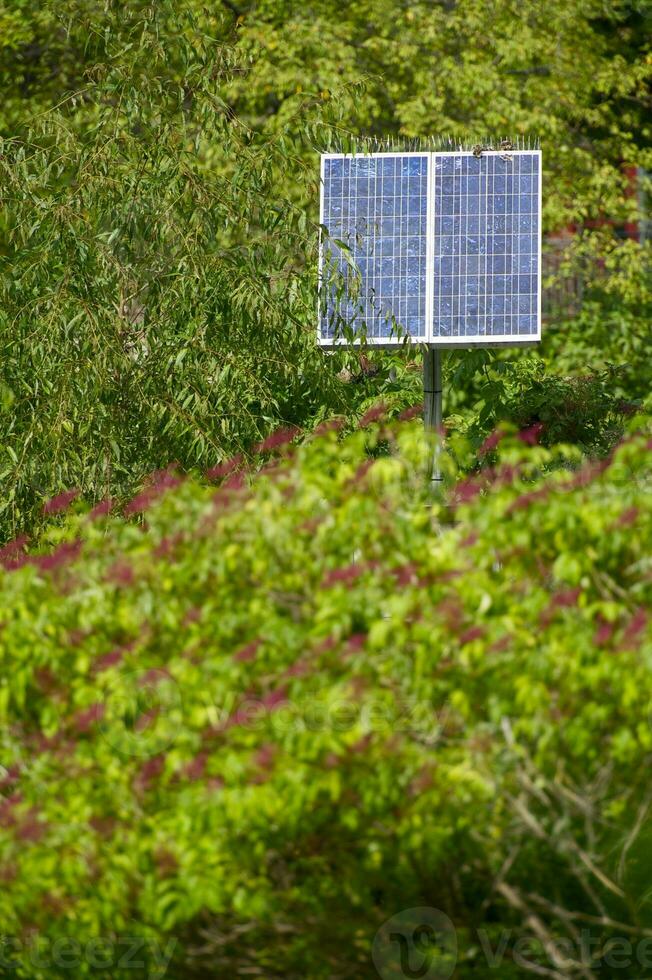 sol- energi i trädgård foto