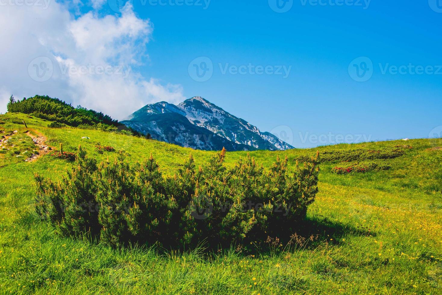 berg ovanför malcesine i provinsen verona, italien foto