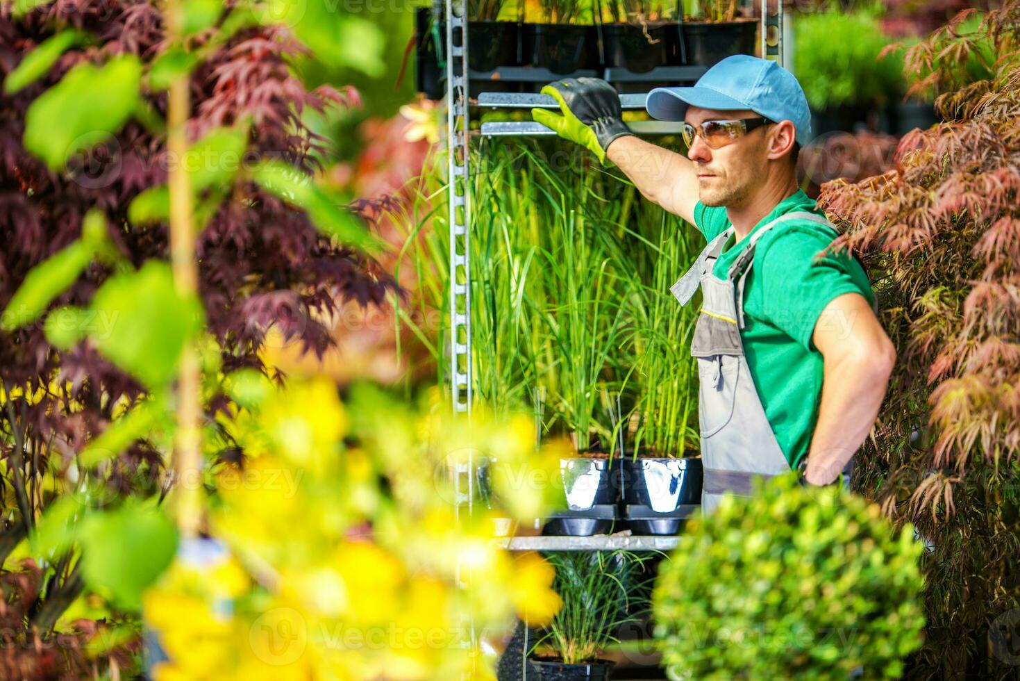 växthus trädgårdsarbete begrepp foto