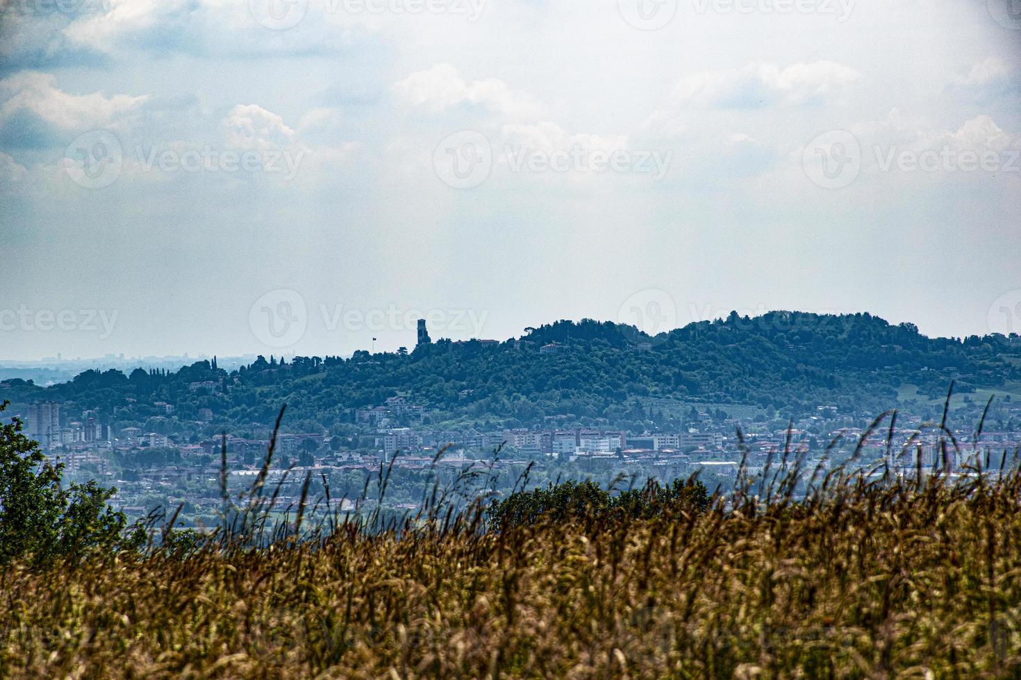 utsikt över Monte Berico i Vicenza från ett vetefält i Monteviale foto