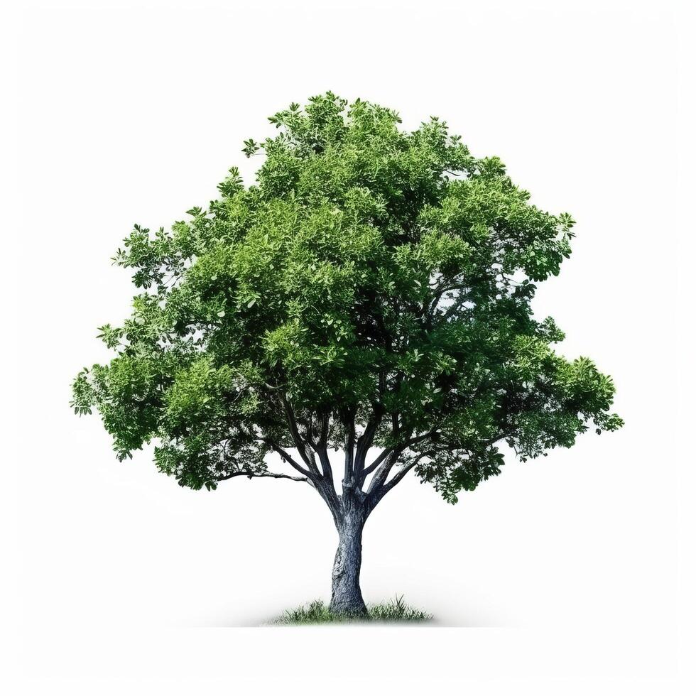 grön träd isolerat. illustration ai generativ foto