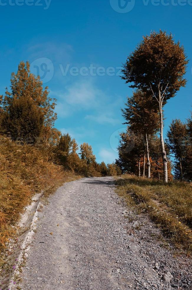 väg i berget under höstsäsongen foto