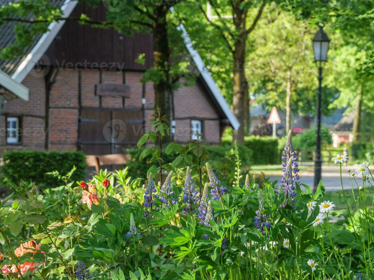 de tysk muensterland på sommar tid foto