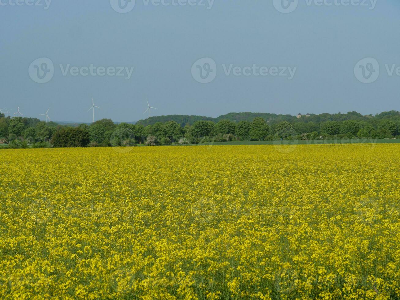 vår tid i Westfalen foto