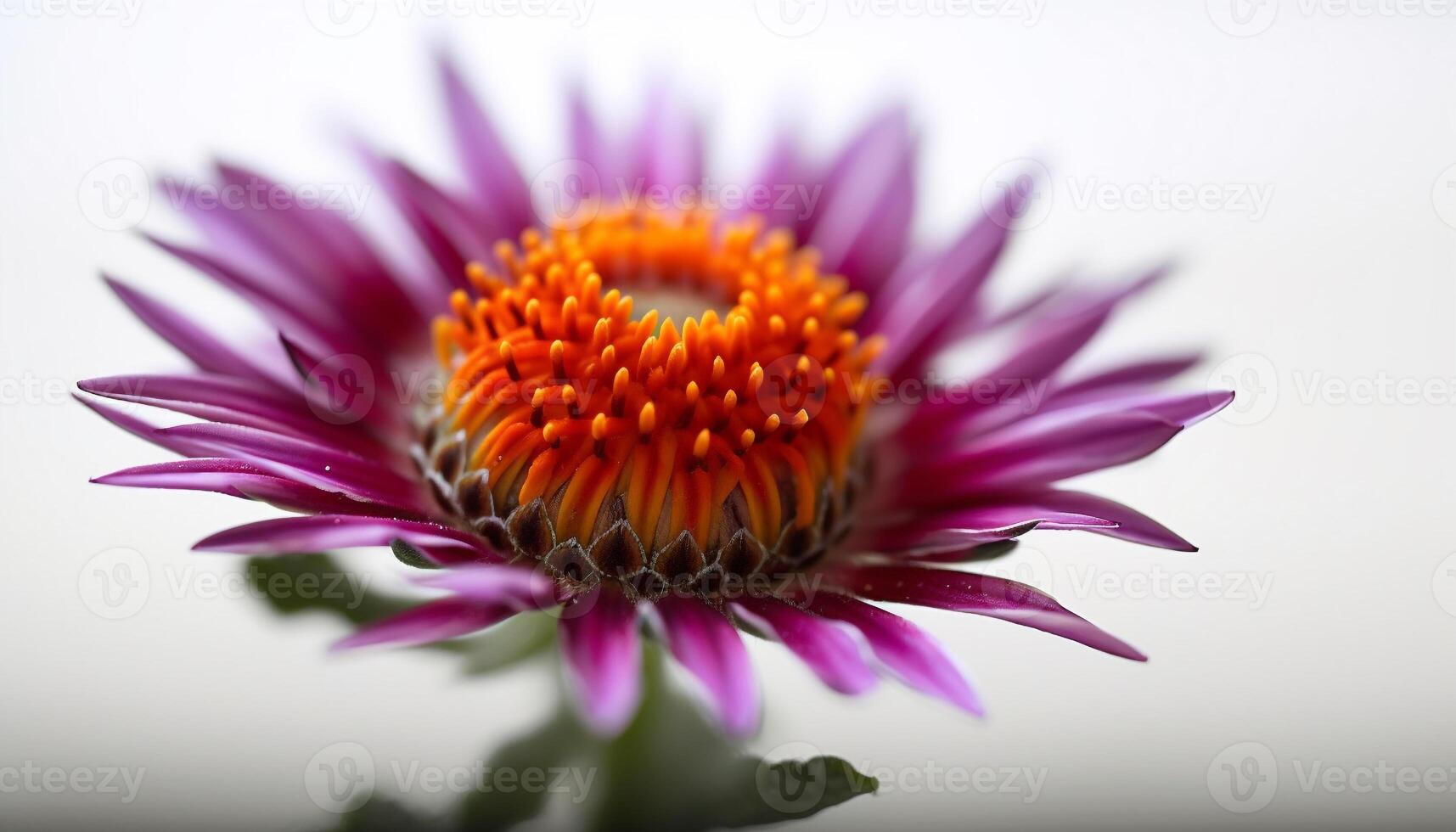 vibrerande gerbera daisy bukett ställer ut organisk skönhet i natur tillväxt genererad förbi ai foto