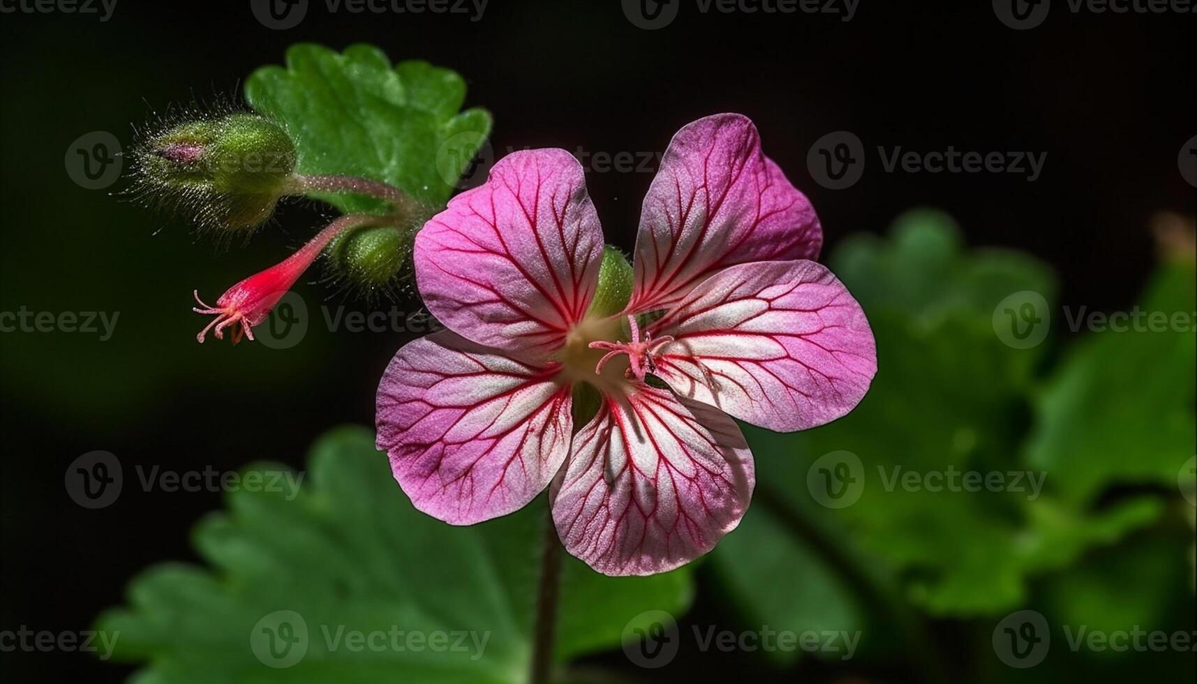 vibrerande rosa hibiskus blomma huvud med gul stamen och pollen genererad förbi ai foto