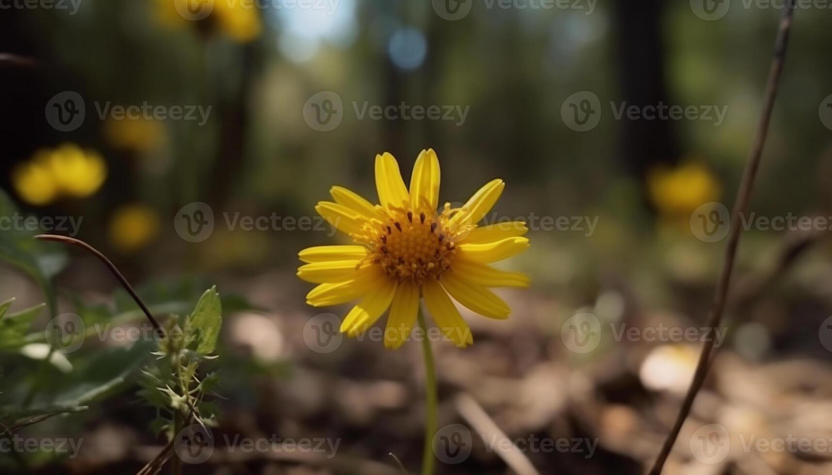 gul daisy blomma i äng, omgiven förbi färsk grön tillväxt genererad förbi ai foto