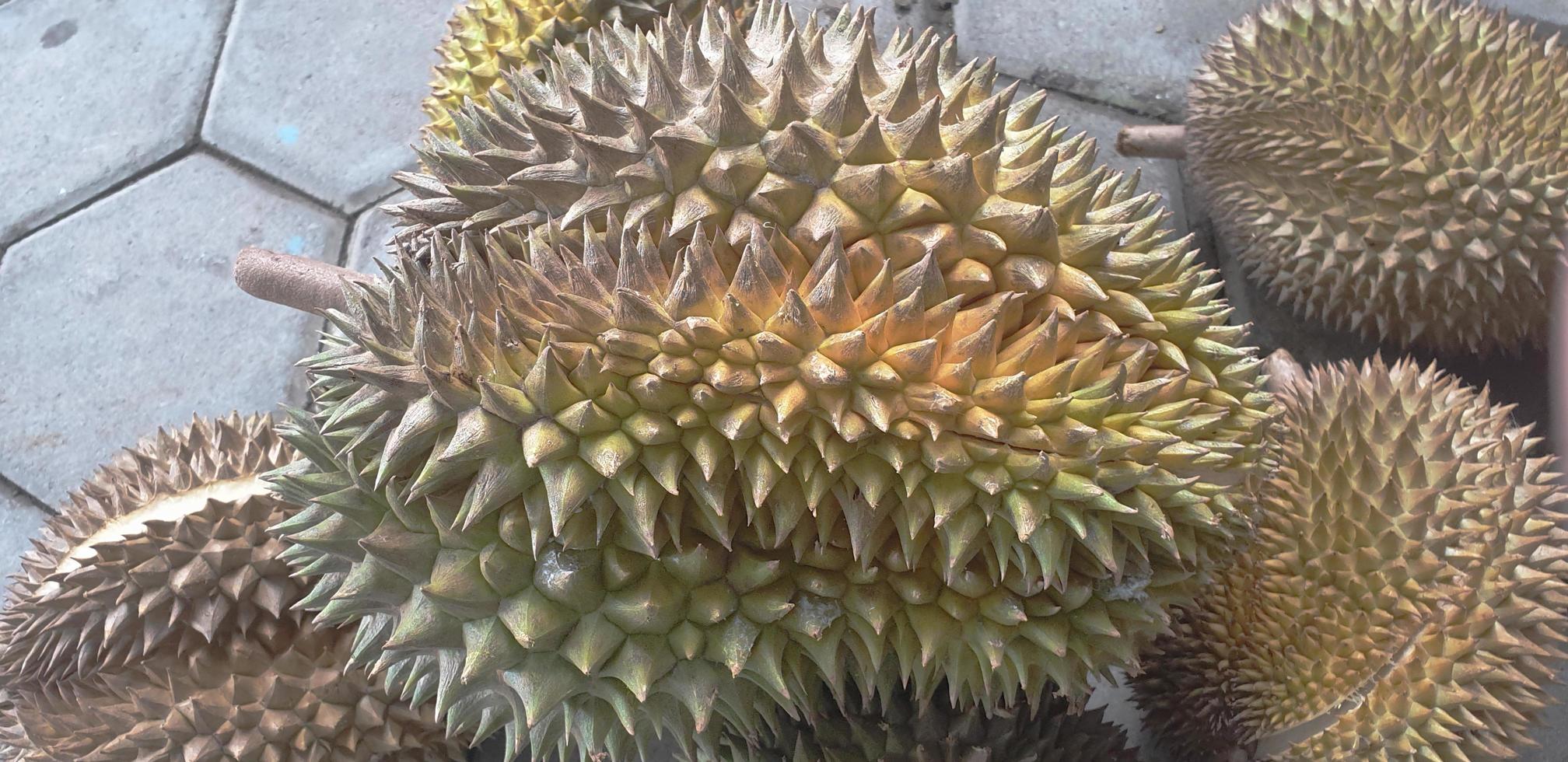 färsk durianfrukt foto