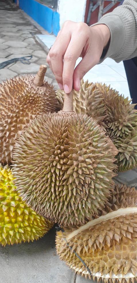 färsk durianfrukt foto