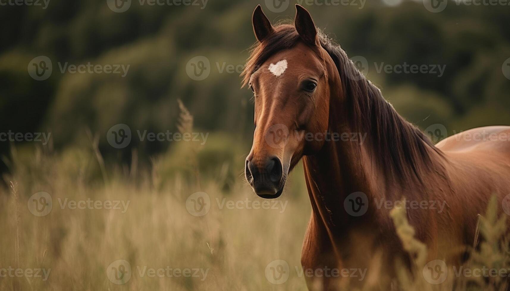 bukt häst betning i lugn äng på solnedgång, stänga upp porträtt genererad förbi ai foto