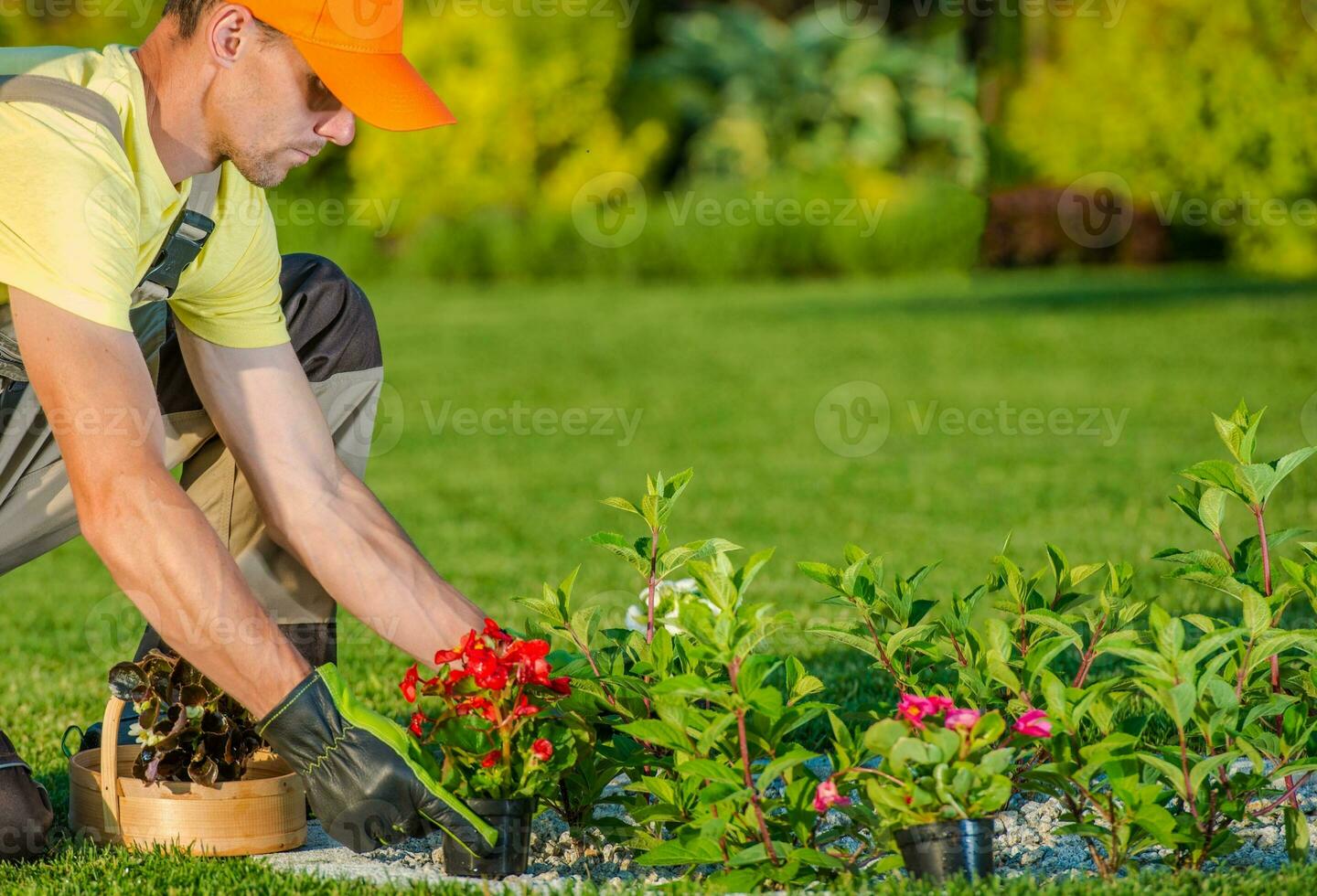 plantering ny blommor foto