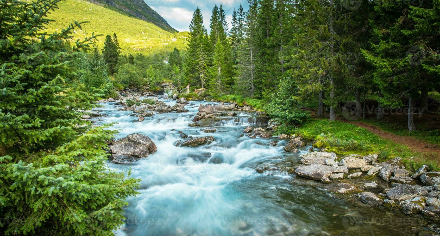 naturskön sommar landskap foto