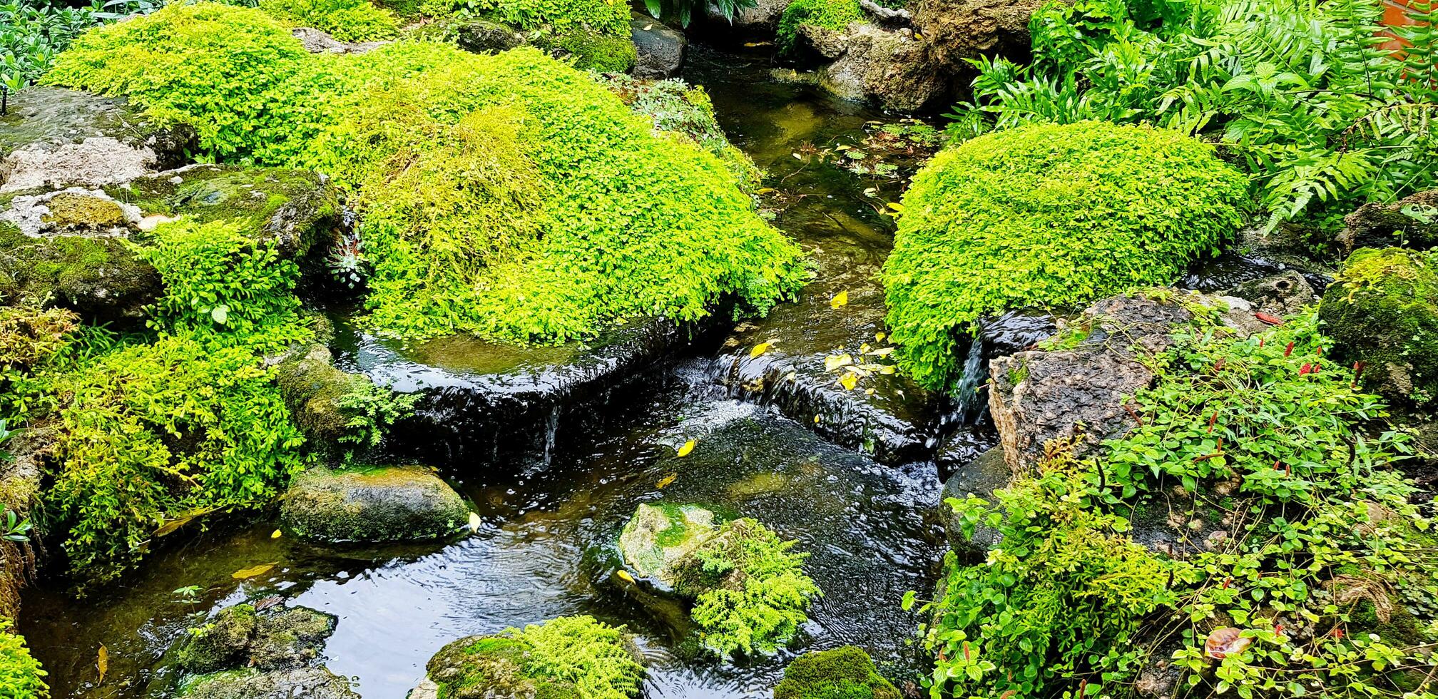 skön små vattenfall med grön mossa och träd för bakgrund. skönhet av natur och naturlig tapet foto