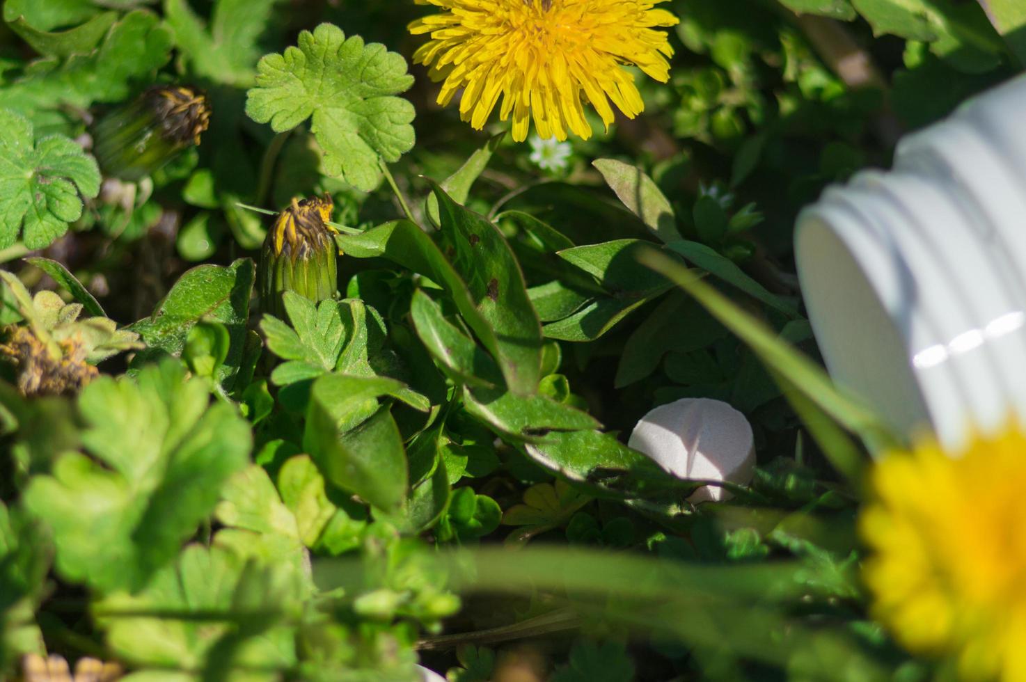 vita piller i gräset med blommor foto