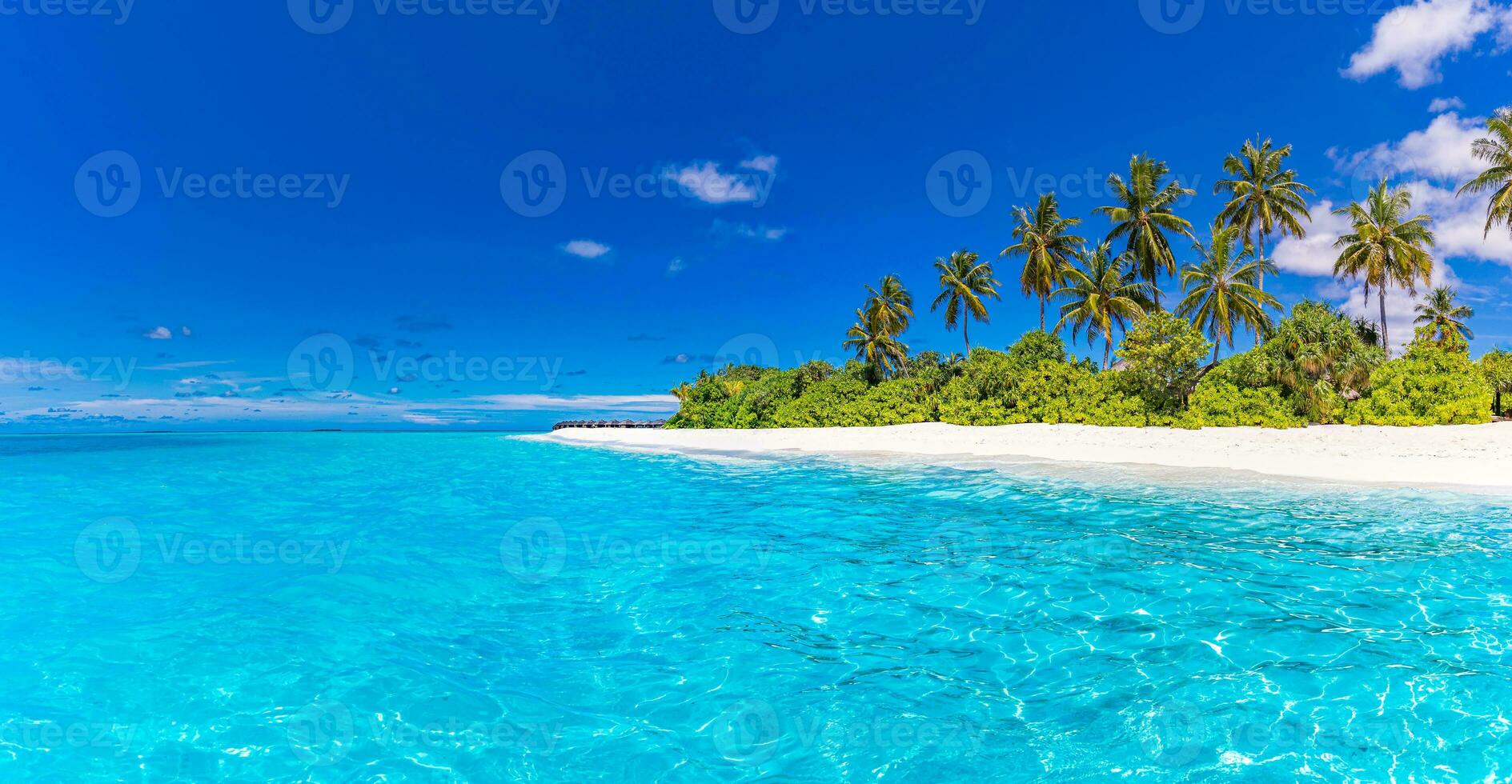 strand landskap i skön solljus. exotisk natur som tropisk landskap med palmer och fredlig blå hav. naturlig färger och ljus, sommar natur bakgrund begrepp, inspirera och motiverande foto