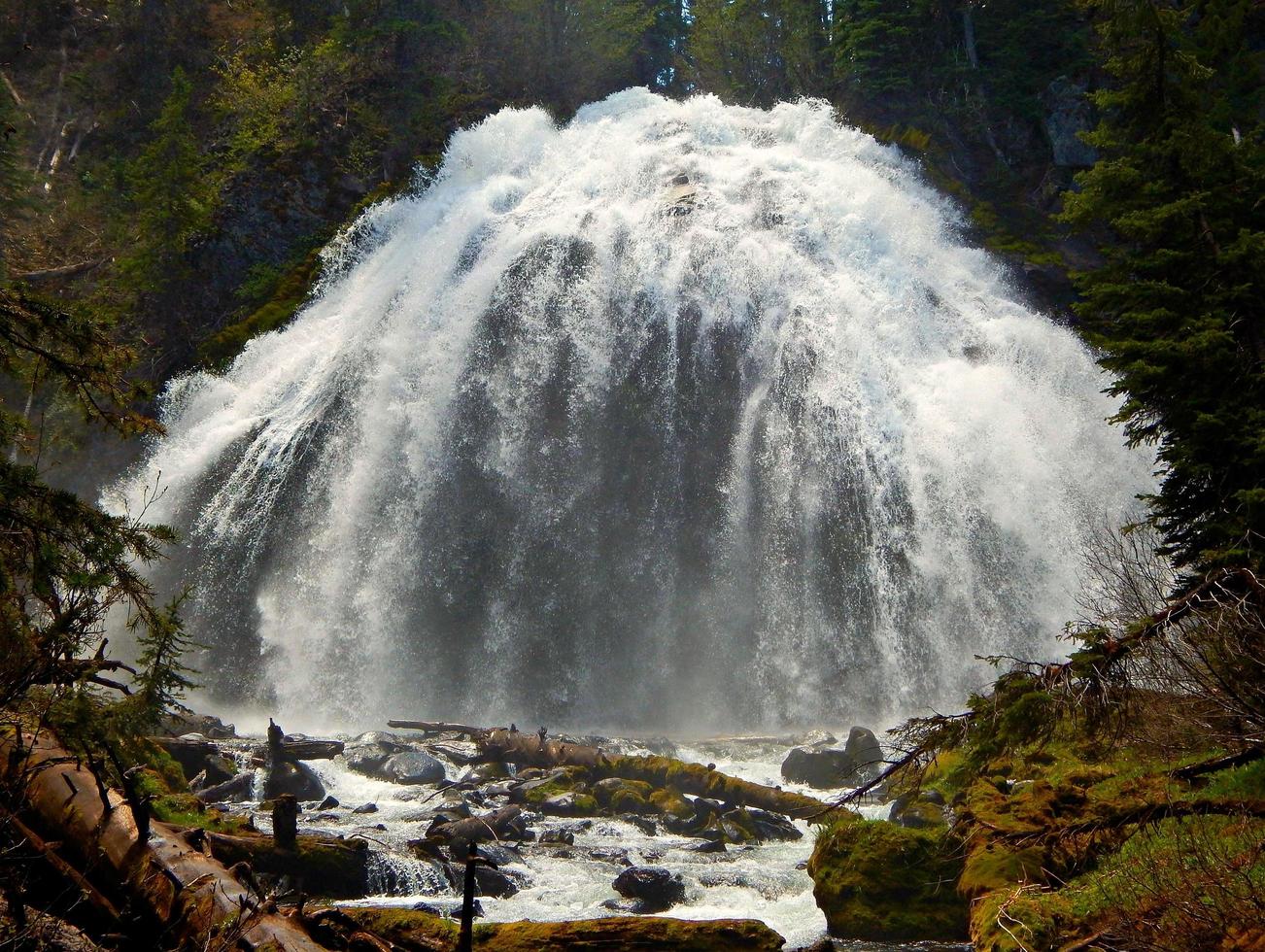 Chush faller på Whychus Creek nära systrar eller foto