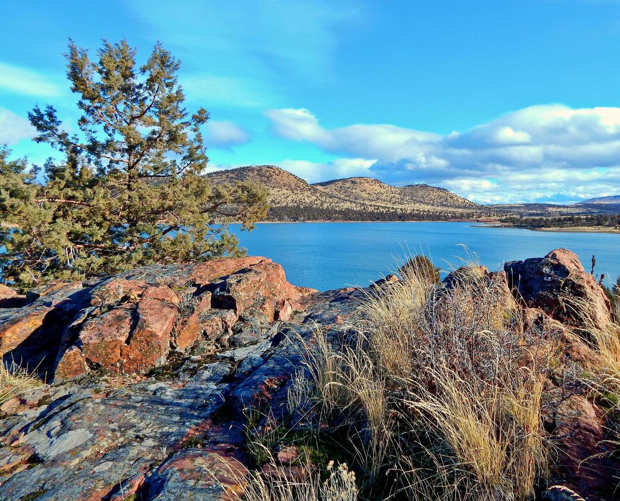 december vid sjön höstackreservoaren nära kulver eller foto