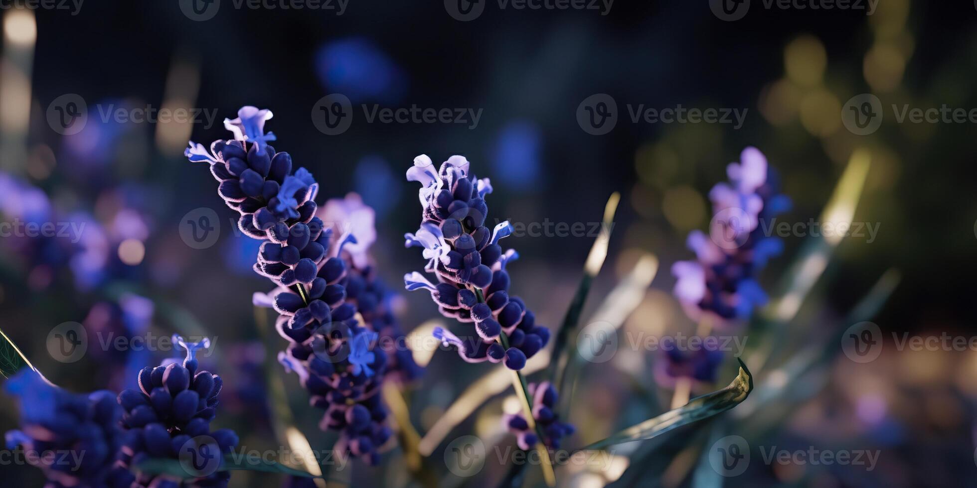 ai genererad. ai generativ. lavendel- växt blomma makro skott Foto illustration. grafisk konst