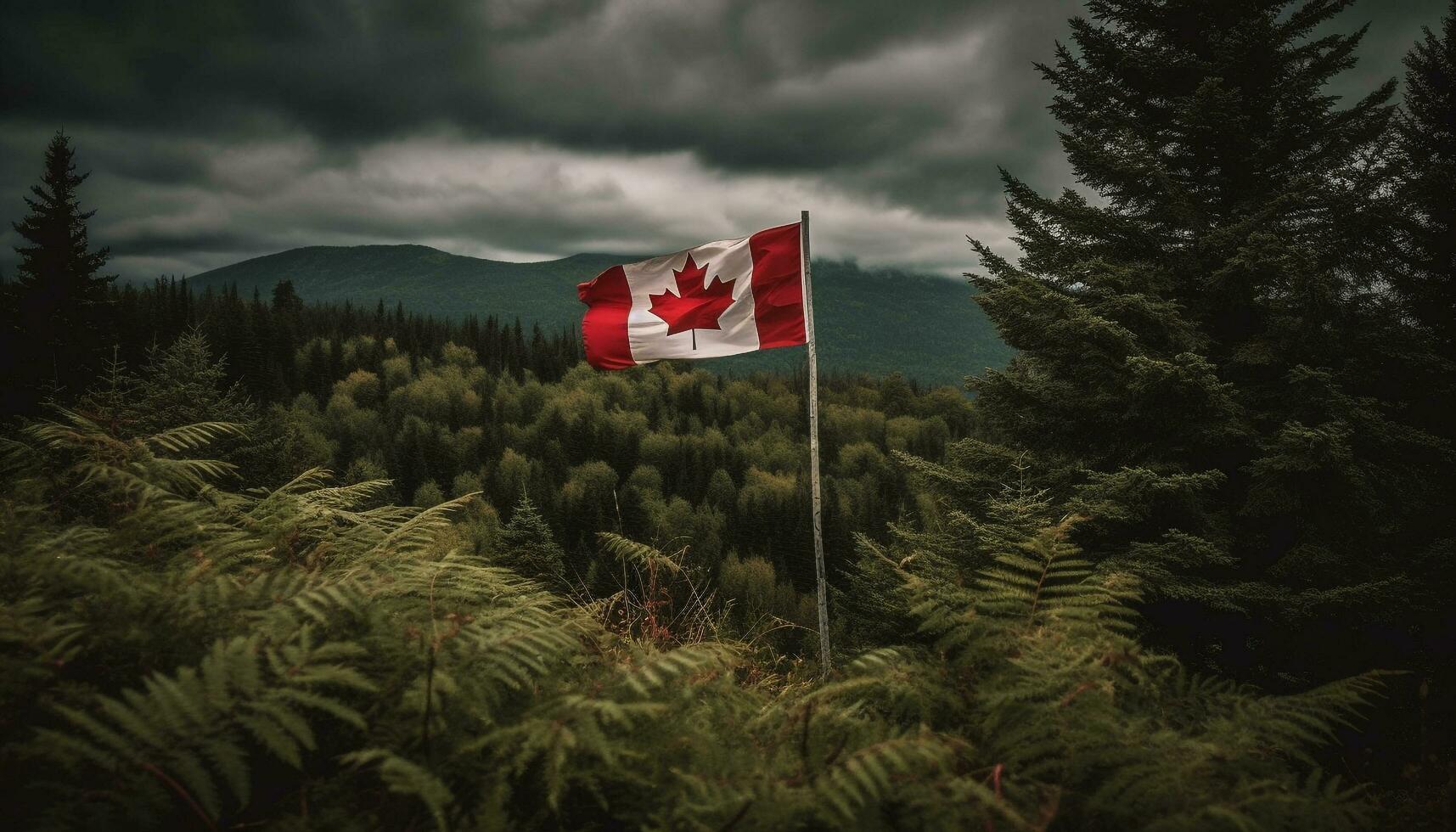 kanadensisk flagga vågor stolt i majestätisk skog genererad förbi ai foto