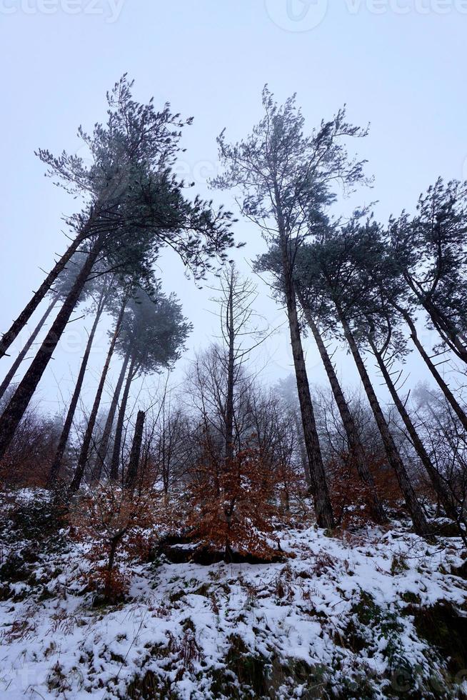 snö i berget under vintersäsongen foto