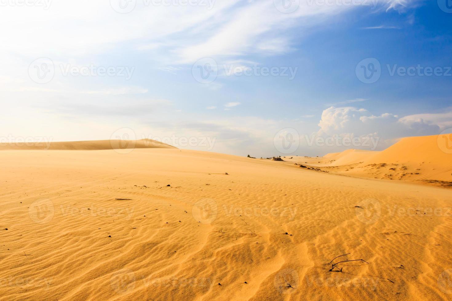 vinka på öknen vid Mui ne South Vietnam foto