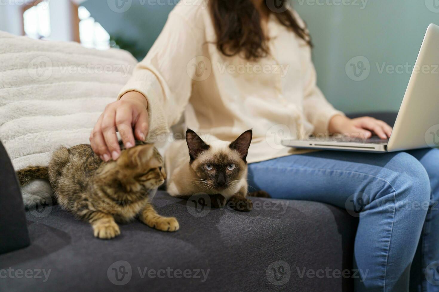 kvinna arbetssätt från Hem med katt. katt sovande på de bärbar dator tangentbord. assistent katt arbetssätt på bärbar dator foto