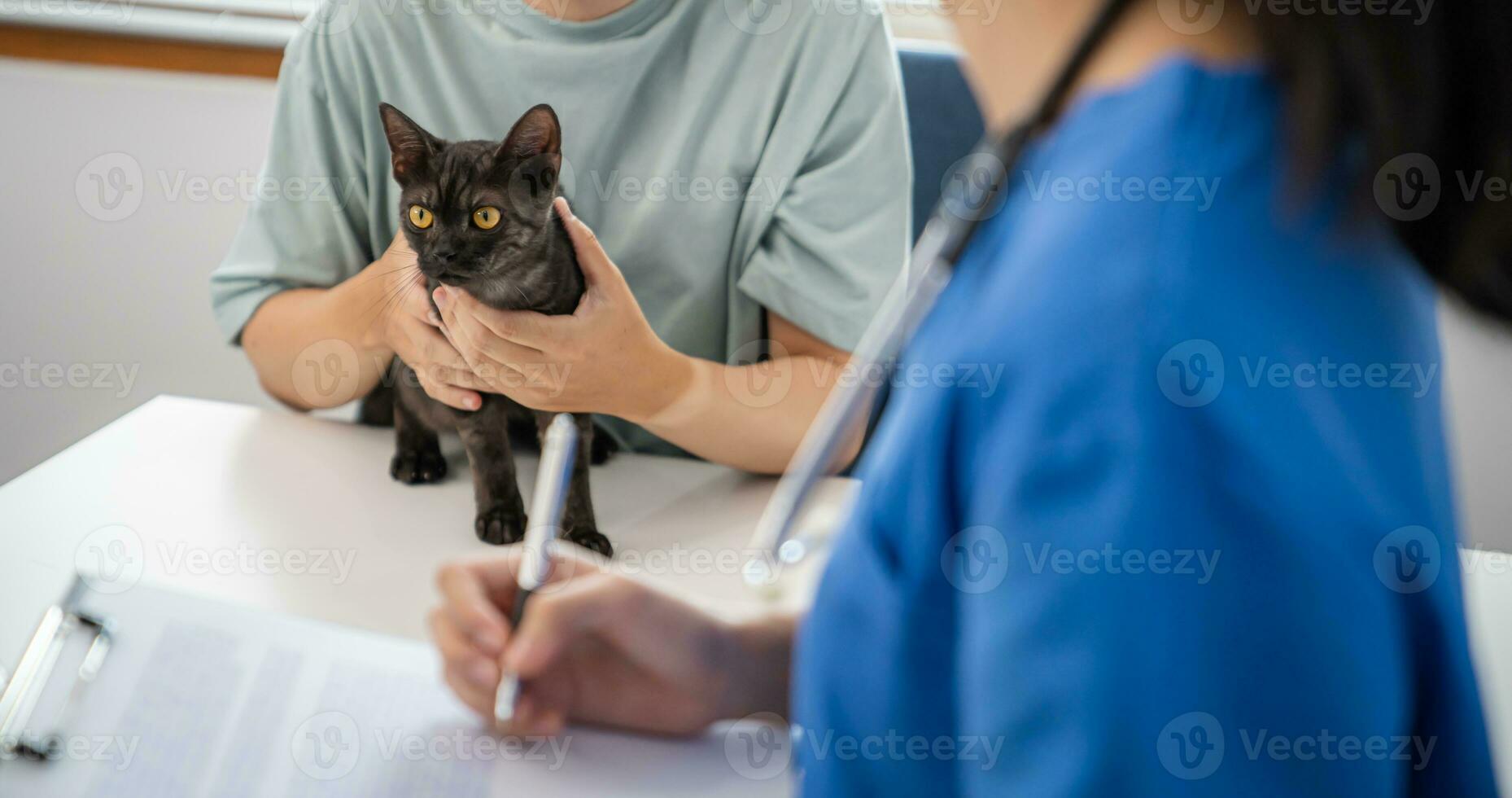 professionell veterinär läkare hjälper katt. ägare katt innehav sällskapsdjur på händer. katt på undersökning tabell av veterinär klinik. veterinär vård. veterinär läkare och katt foto