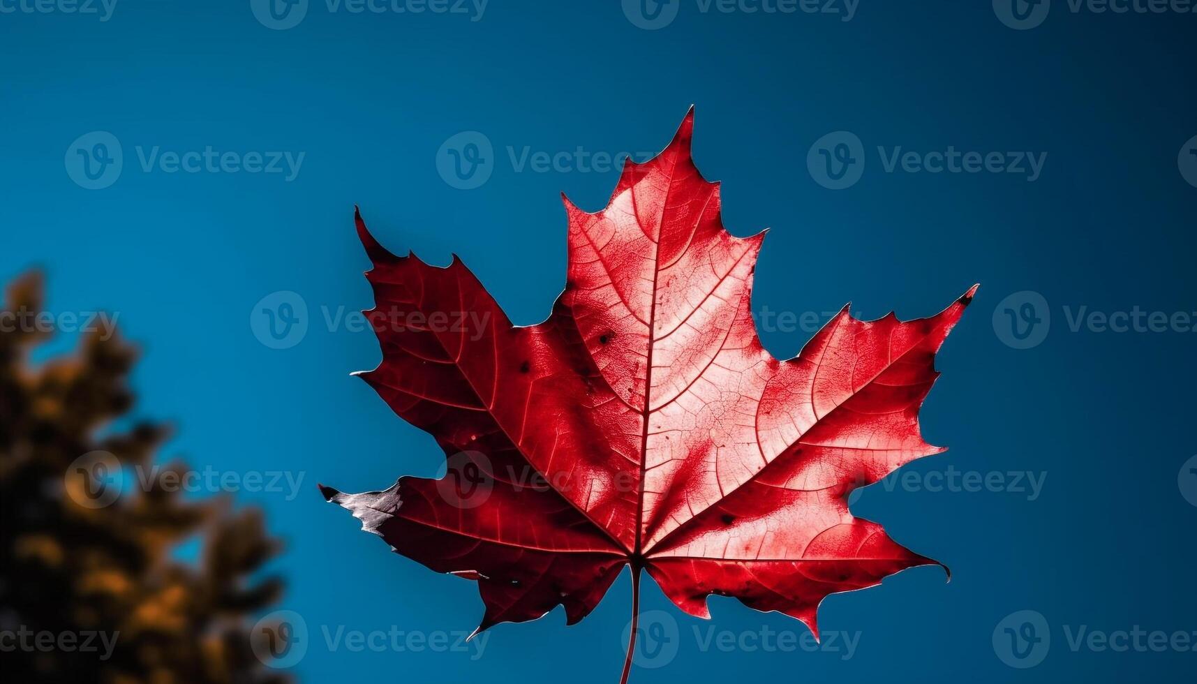 vibrerande höst lönn blad, symbol av natur skönhet genererad förbi ai foto