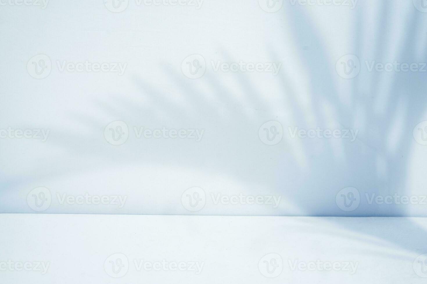 handflatan blad skugga täcka över. minimalistisk blå rum för produkt visa foto