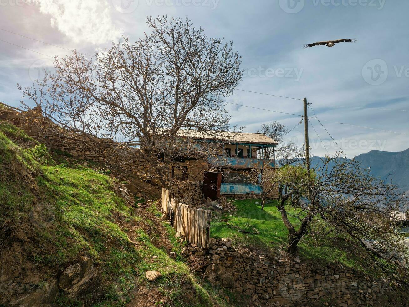 pittoresk gammal trädgård av de berg by. gammal by i dagestan. lantlig sten hus i en by i kakhib, dagestan. foto