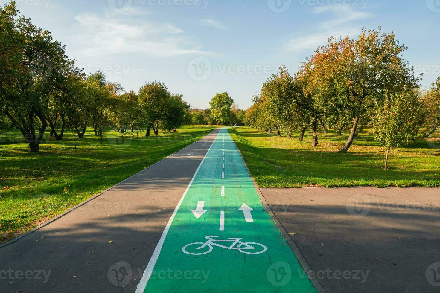 cykel väg i sommar parkera. märkning på de asfalt. foto