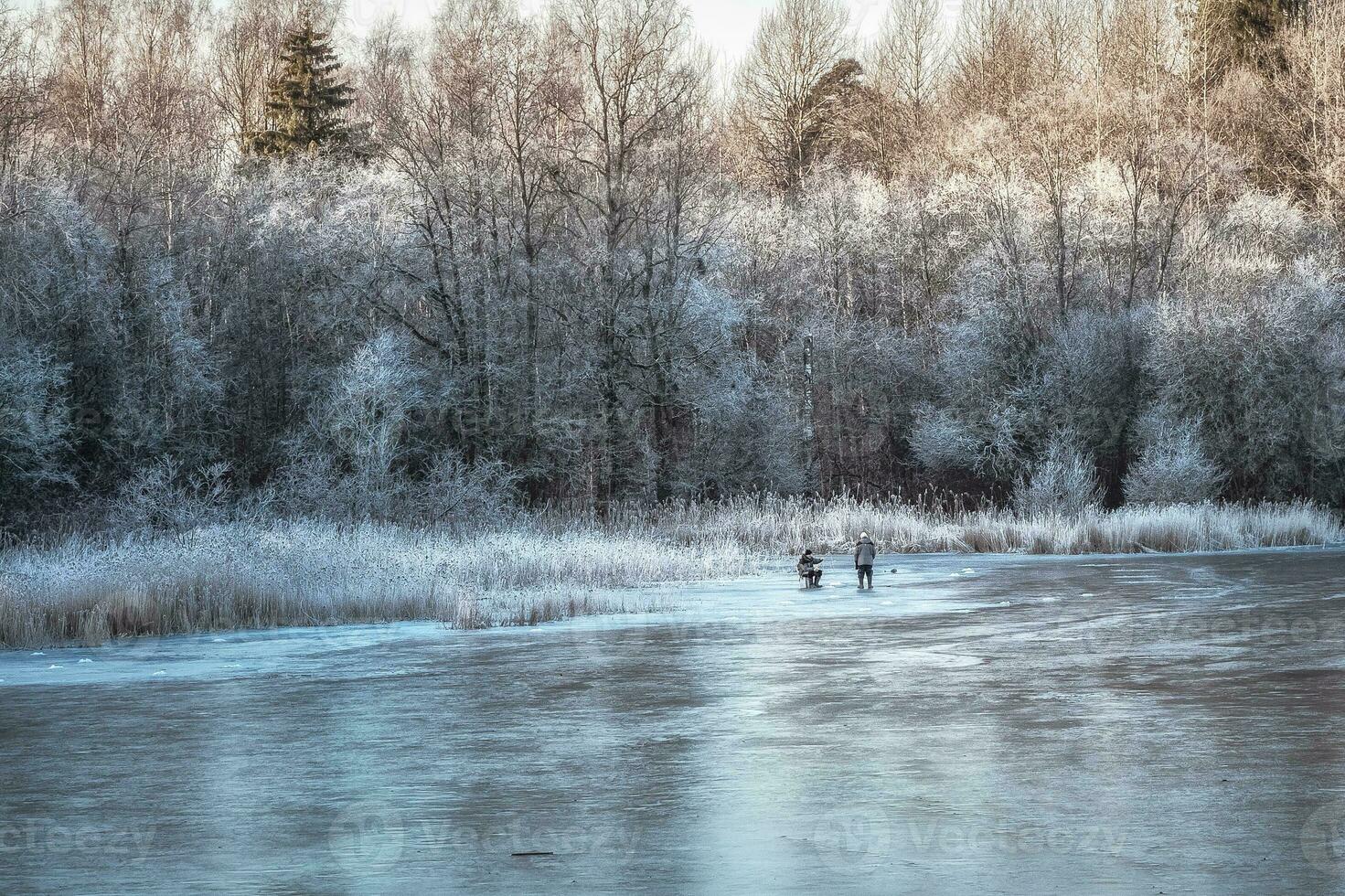 skön vinter- landskap med en frysta sjö och vit träd i foto