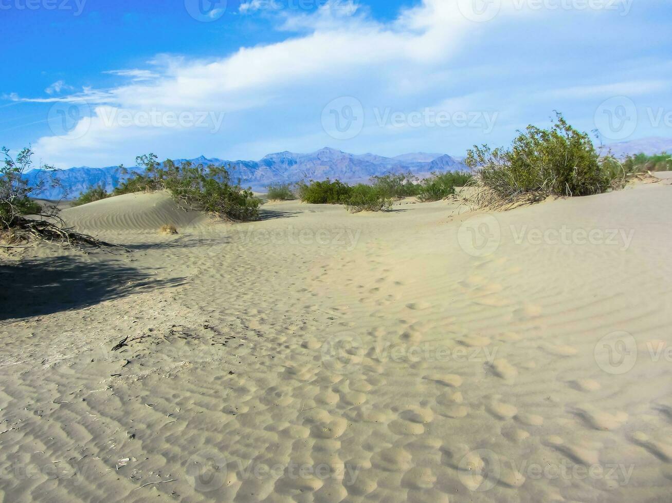 öken- landskap av oregon foto