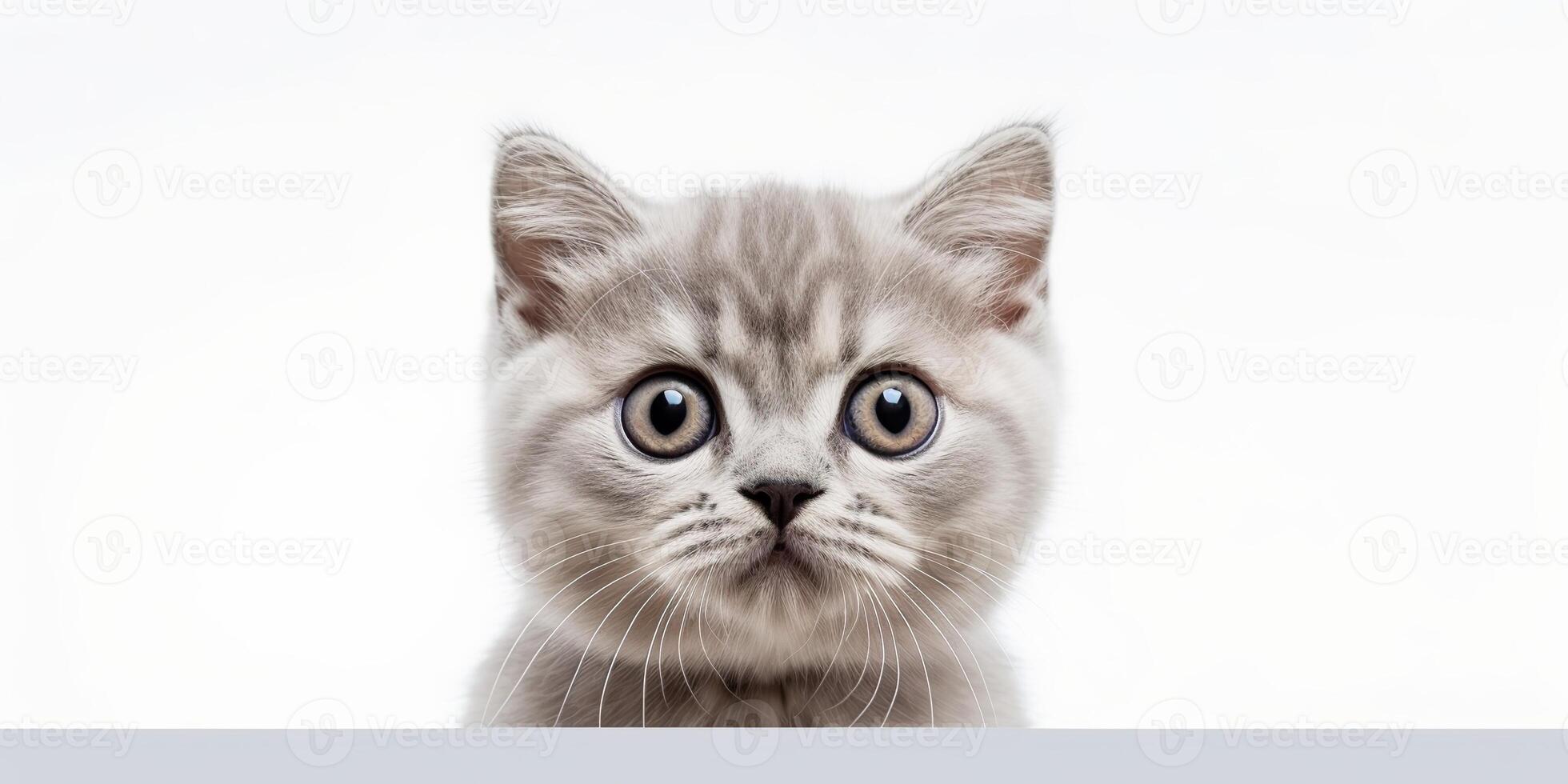 ai genererad. ai generativ. Foto realistisk illustration av brittiskt blå grå katt ansikte djur- sällskapsdjur. grafisk konst illustration