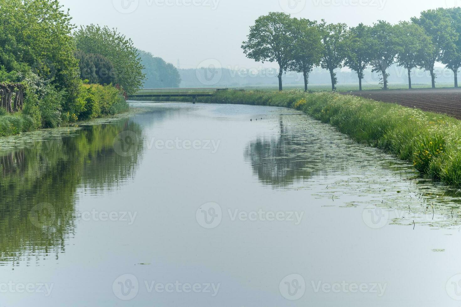 bred kanal i dimmig nederländerna med träd, äng foto