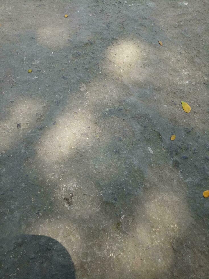 Foto av en golv tillverkad av cement med en skugga av en skuggig träd under de dag