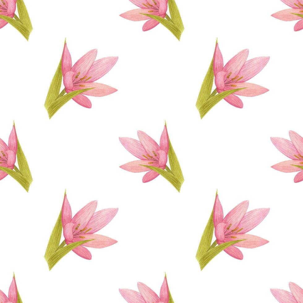 ritad för hand lilja sömlös mönster. vattenfärg rosa lilja med grön löv på de vit bakgrund. klippbok design element. typografi affisch, märka, baner design uppsättning, textil. foto