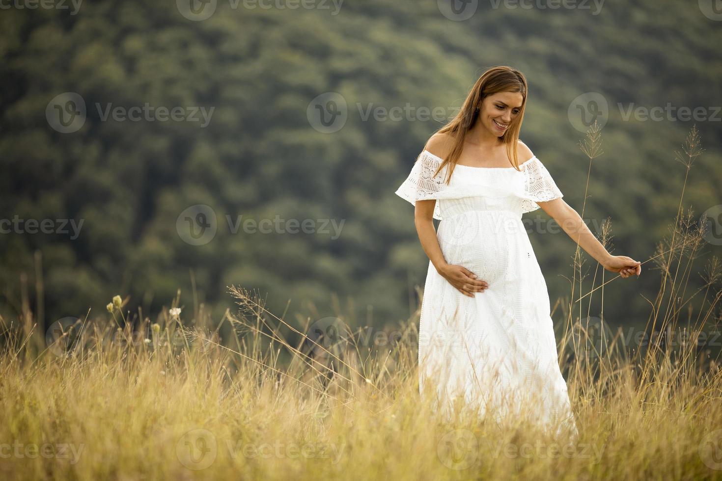 ung gravid kvinna på fältet foto