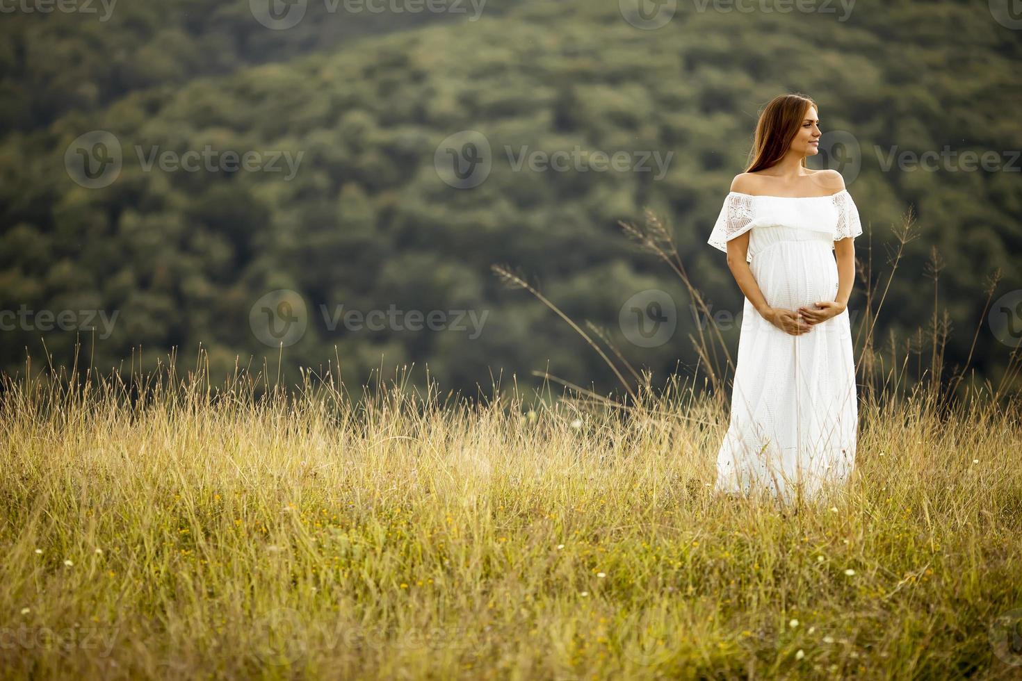 ung gravid kvinna på fältet foto