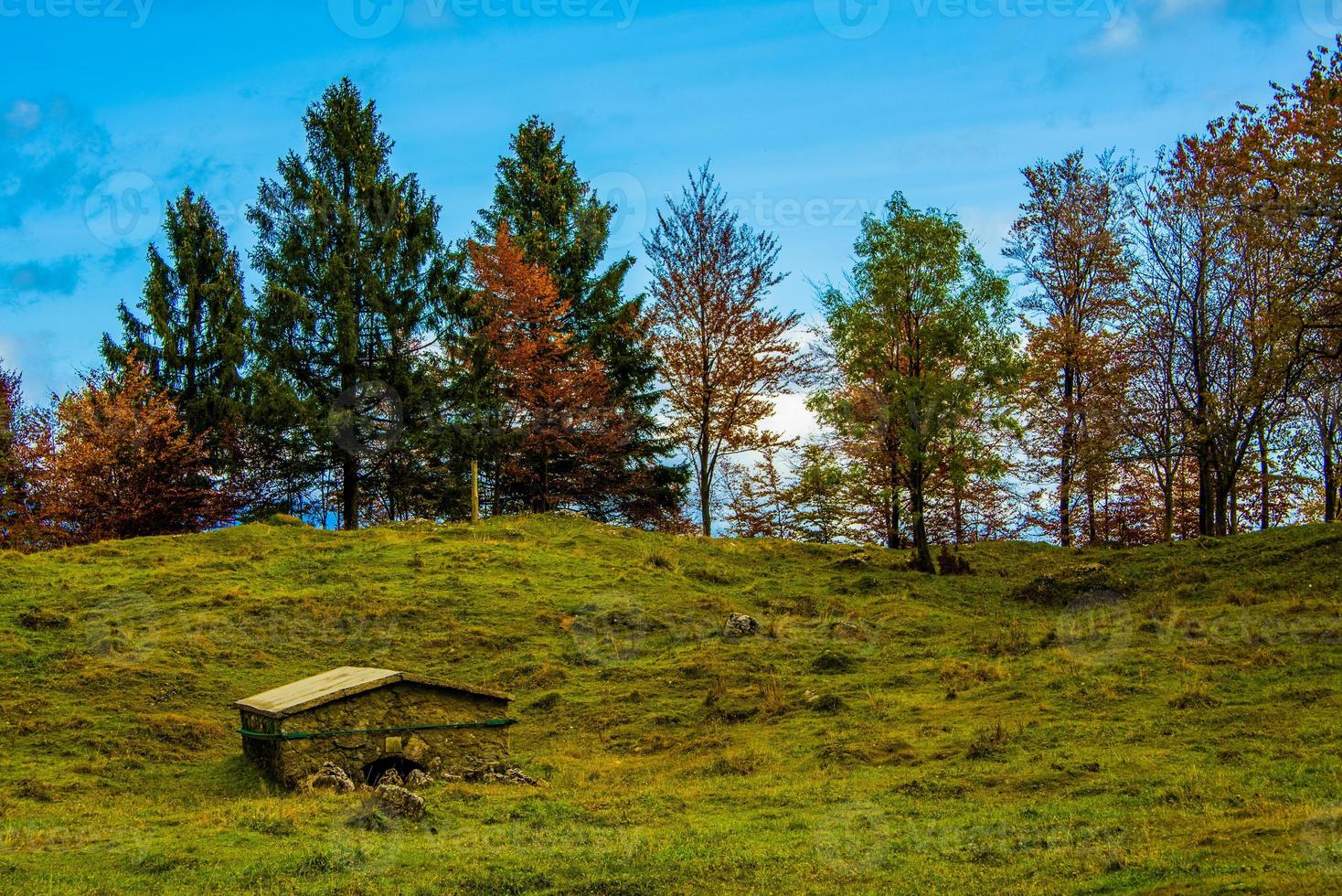 lövverk och berg ett foto