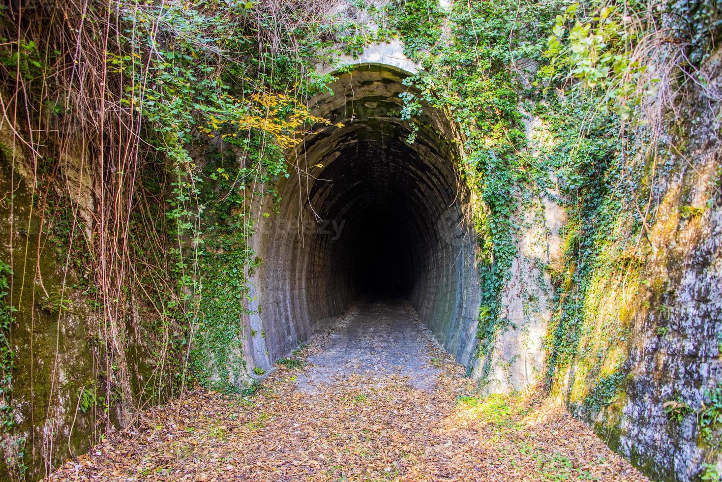 tunnel ingång noll foto