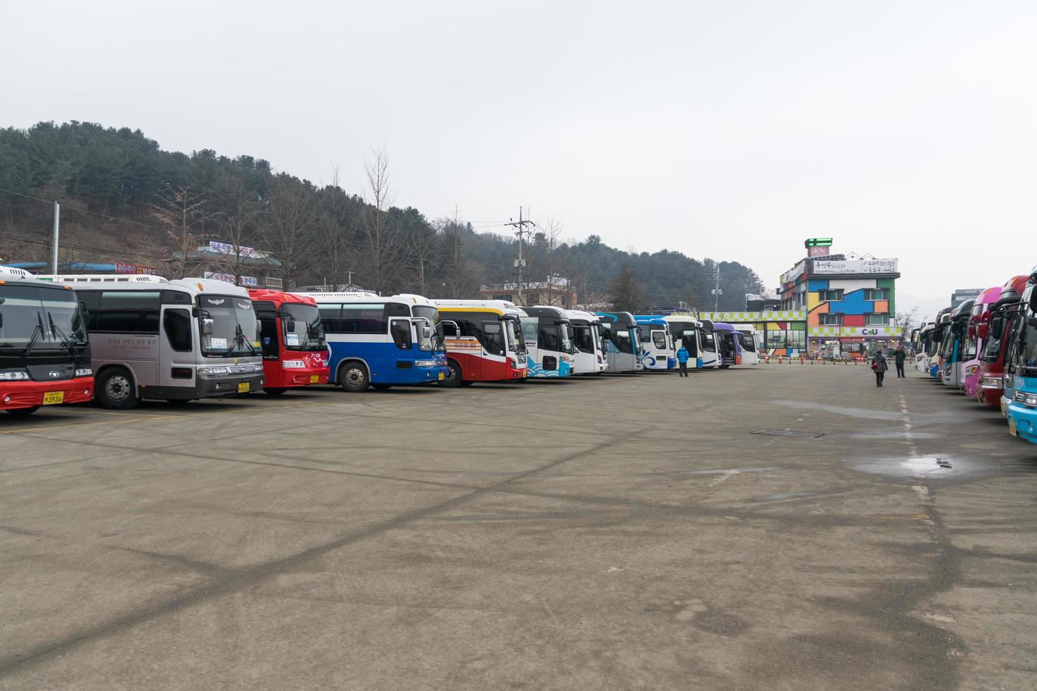 gangwon-do, Korea 2016 - bussar tar turister till ön Naminara foto