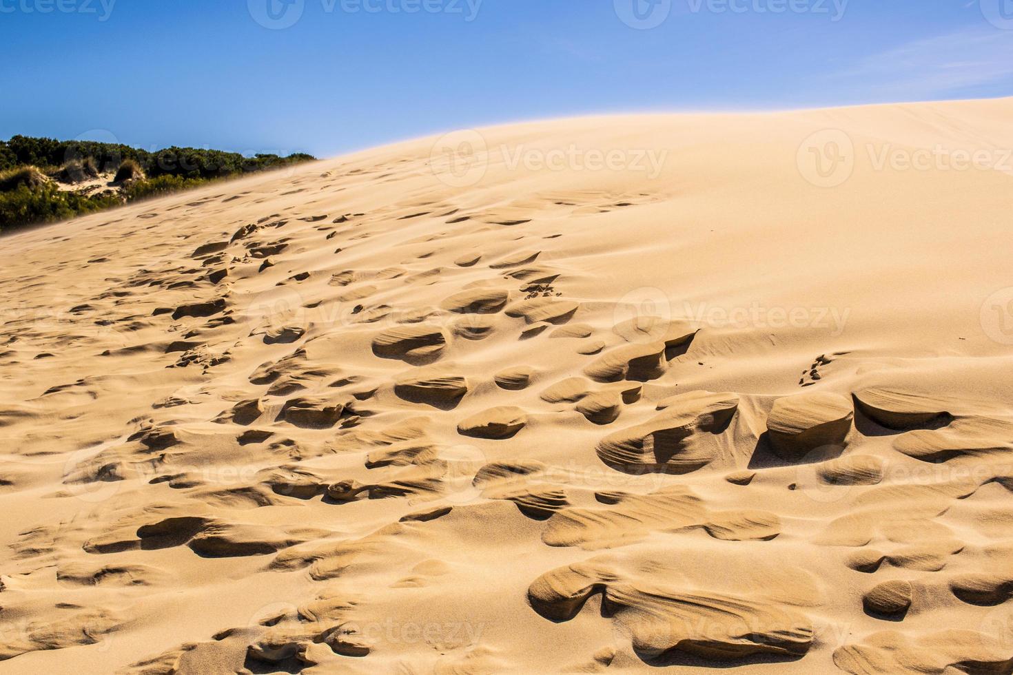 sand förstenad av en modern vind foto