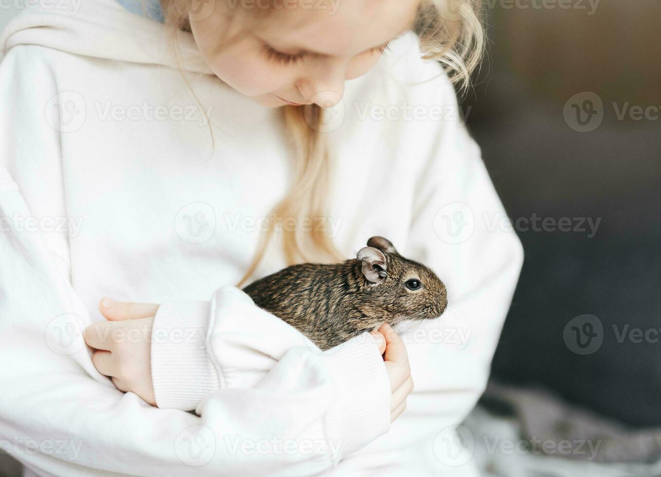 ung flicka spelar med små djur- degu ekorre. foto