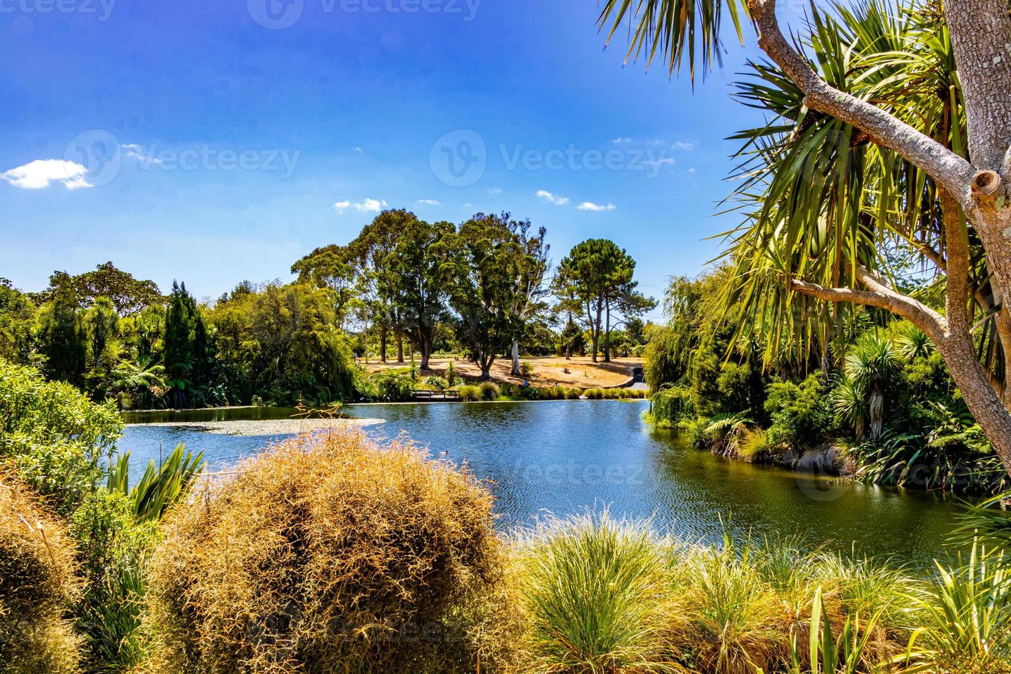 utsikt över sjön i trädgårdarna Auckland botaniska trädgårdar Auckland Nya Zeeland foto