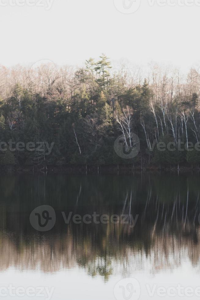 träd som reflekterar över sjön på hösten foto
