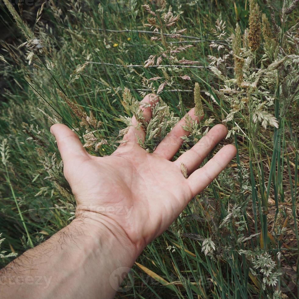 handen vidrör växterna och känner naturen foto