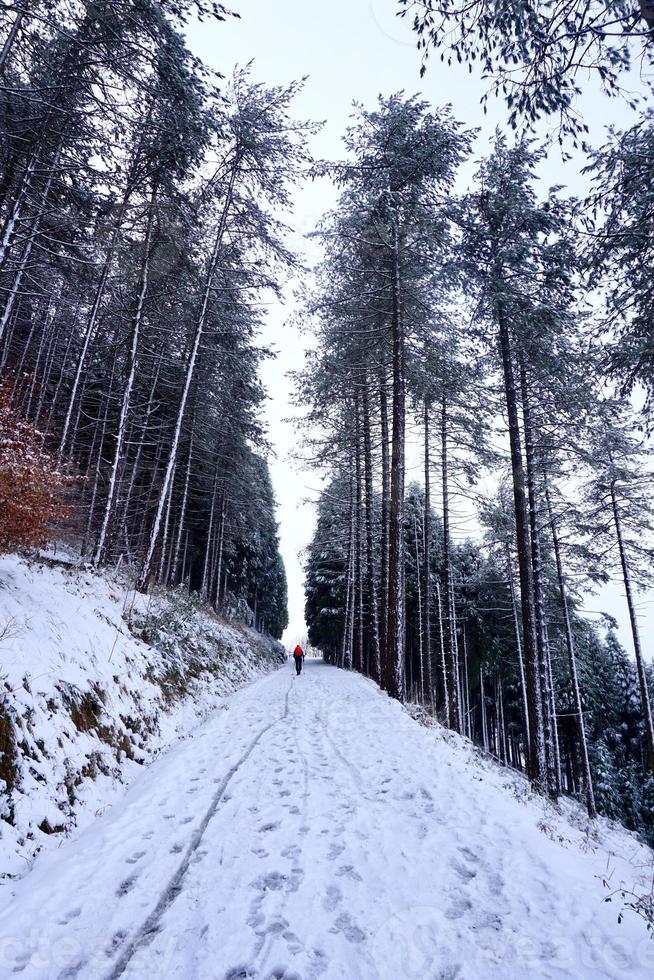 snö i berget under vintersäsongen foto